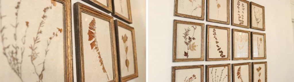 Warm toned gallery wall of framed French country decor antique herbiers styled in Amitha Verma’s home dining room.